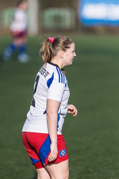 Bild 333 - F Hamburger SV 3 - Blau-Weiss 96 : Ergebnis: 5:1